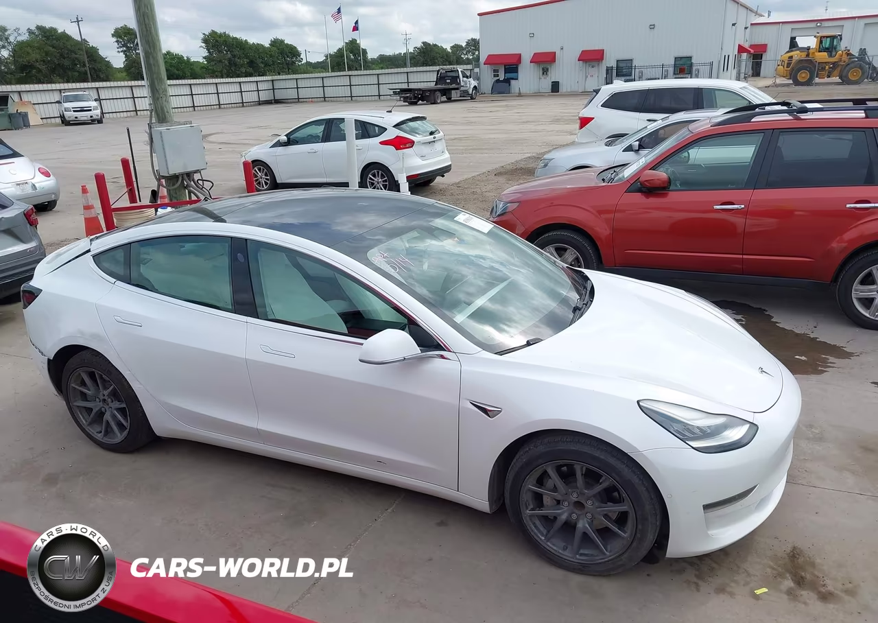 2019 Tesla Model 3 Long Range-Mid Range-Standard Range-Standard Range Plus VIN:5YJ3E1EA1KF312516 - 14
