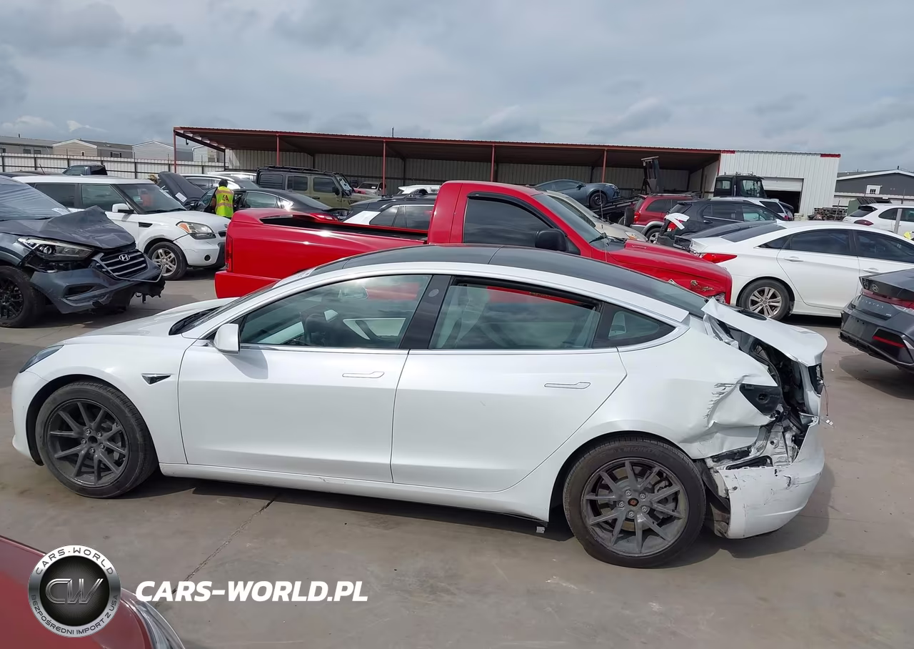 2019 Tesla Model 3 Long Range-Mid Range-Standard Range-Standard Range Plus VIN:5YJ3E1EA1KF312516 - 15