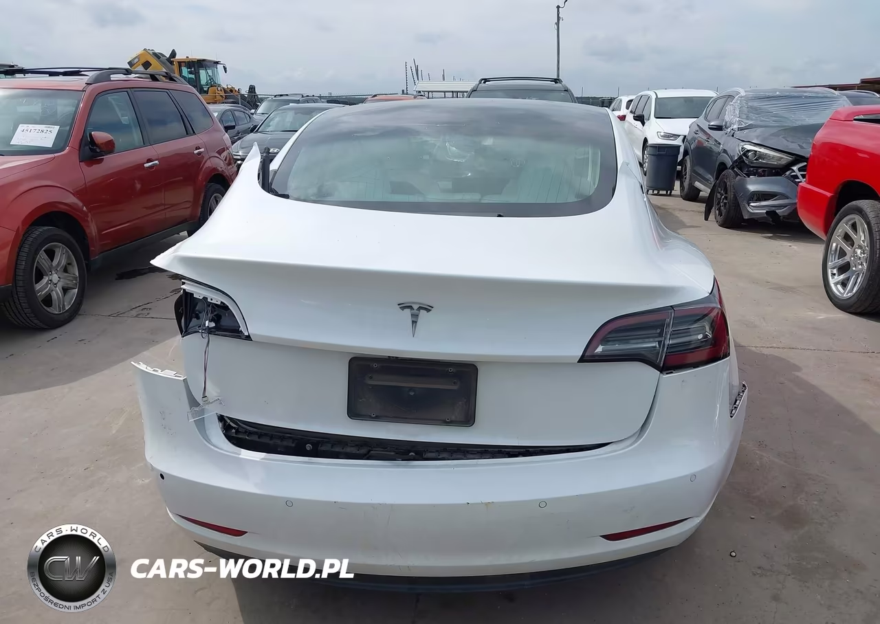 2019 Tesla Model 3 Long Range-Mid Range-Standard Range-Standard Range Plus VIN:5YJ3E1EA1KF312516 - 17