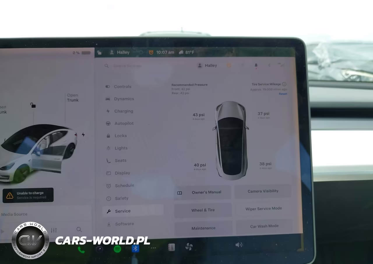 2019 Tesla Model 3 Long Range-Mid Range-Standard Range-Standard Range Plus VIN:5YJ3E1EA1KF312516 - 19