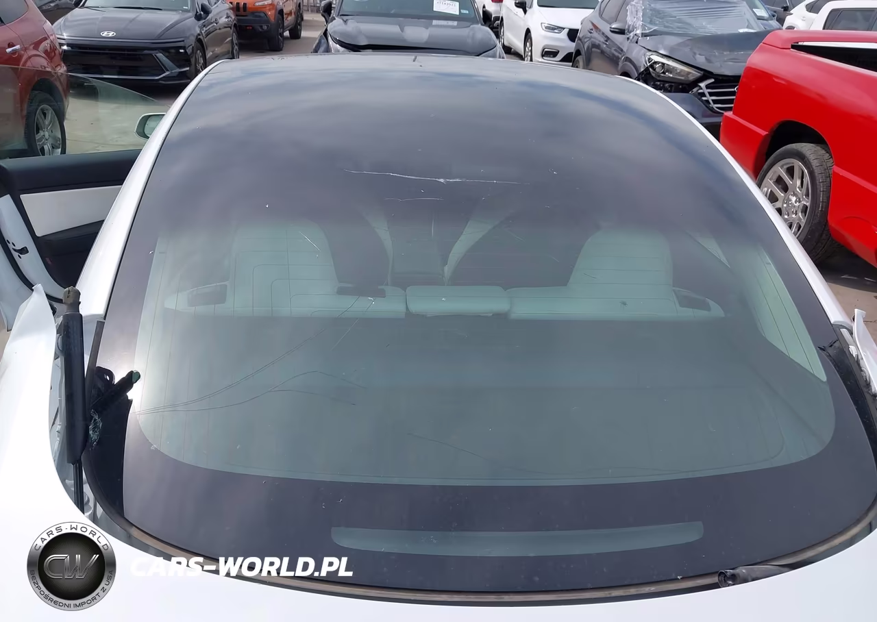 2019 Tesla Model 3 Long Range-Mid Range-Standard Range-Standard Range Plus VIN:5YJ3E1EA1KF312516 - 20