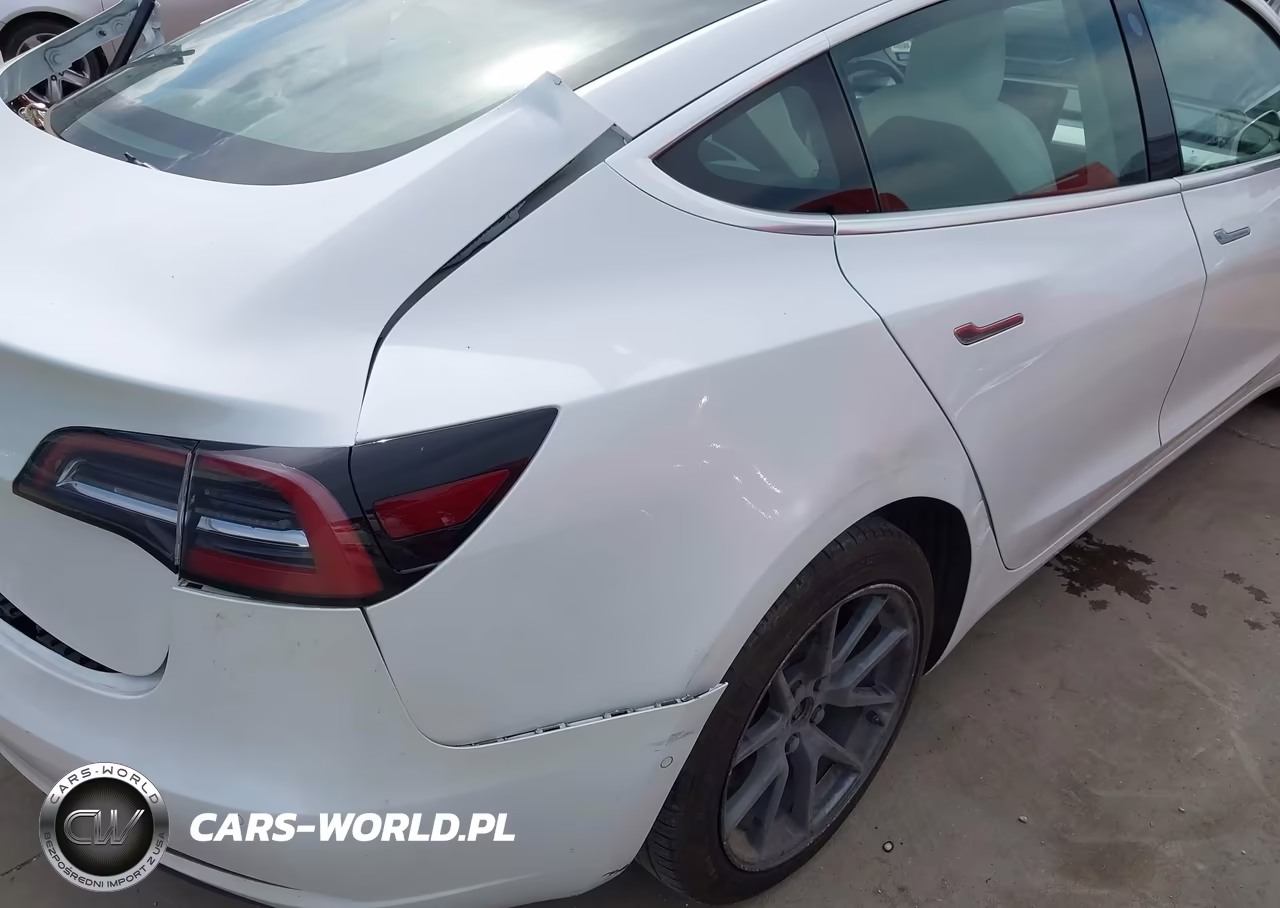 2019 Tesla Model 3 Long Range-Mid Range-Standard Range-Standard Range Plus VIN:5YJ3E1EA1KF312516 - 21
