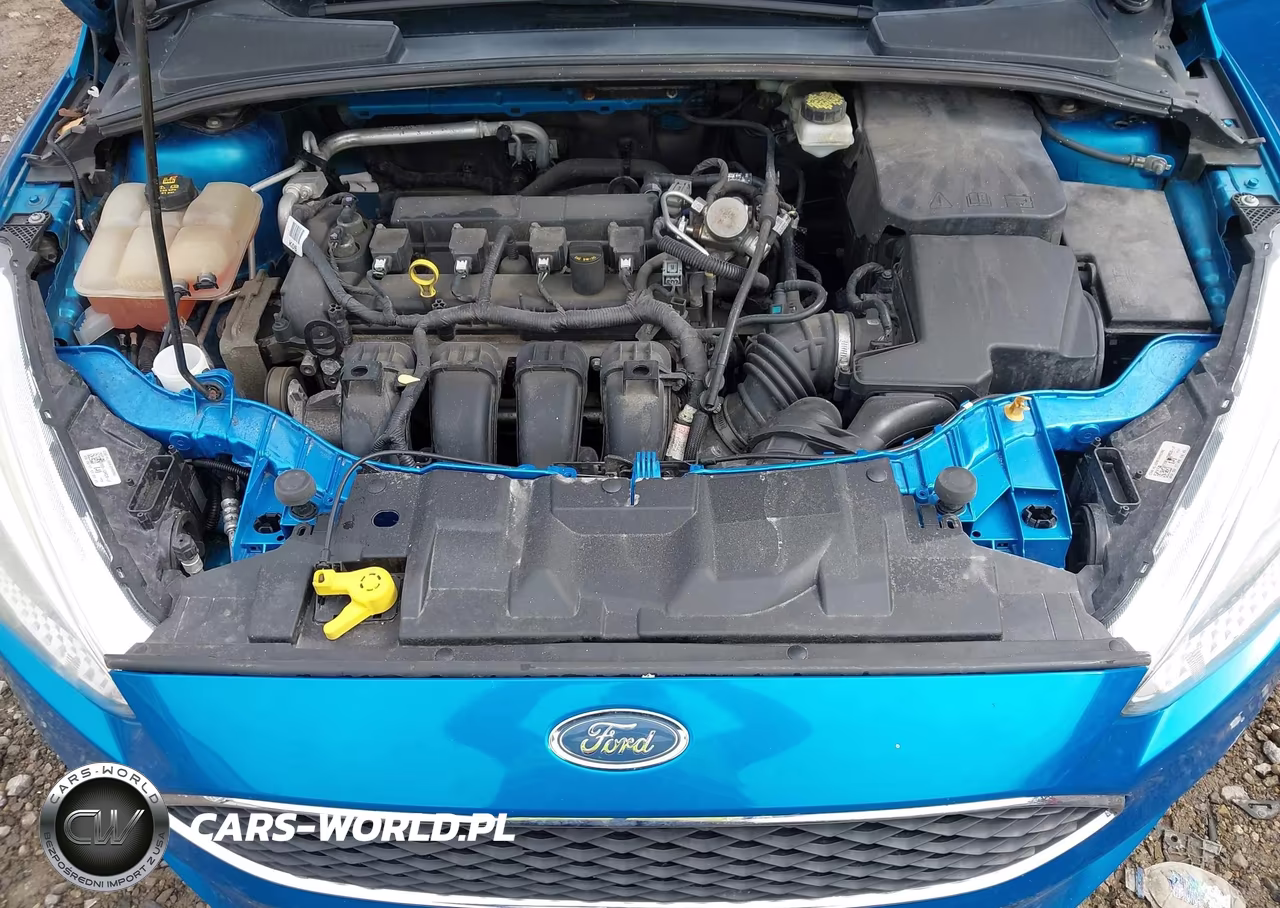 2017 Ford Focus Se VIN:1FADP3K28HL252981 - 10