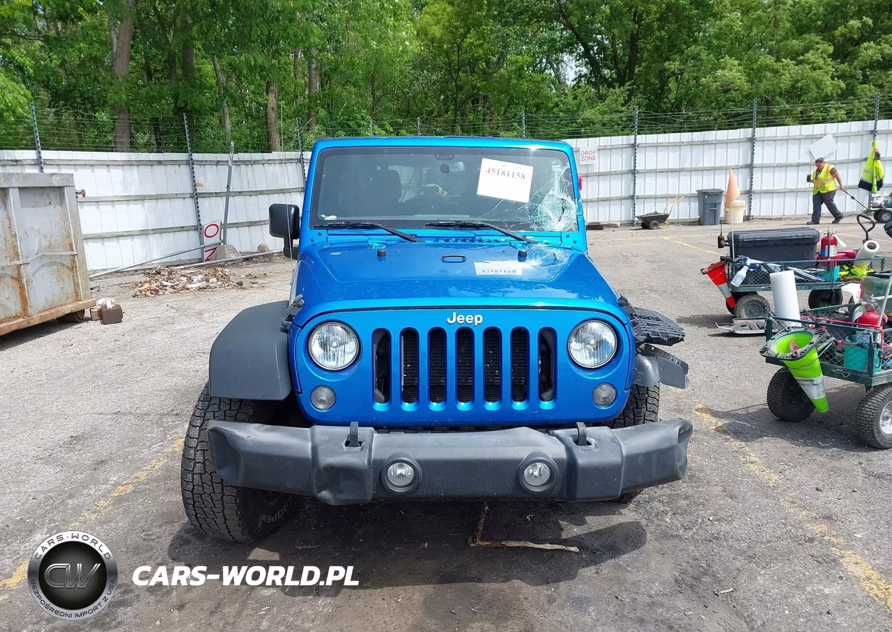 2016 Jeep Wrangler Unlimited Sport VIN:1C4BJWDG9GL301181 - 12