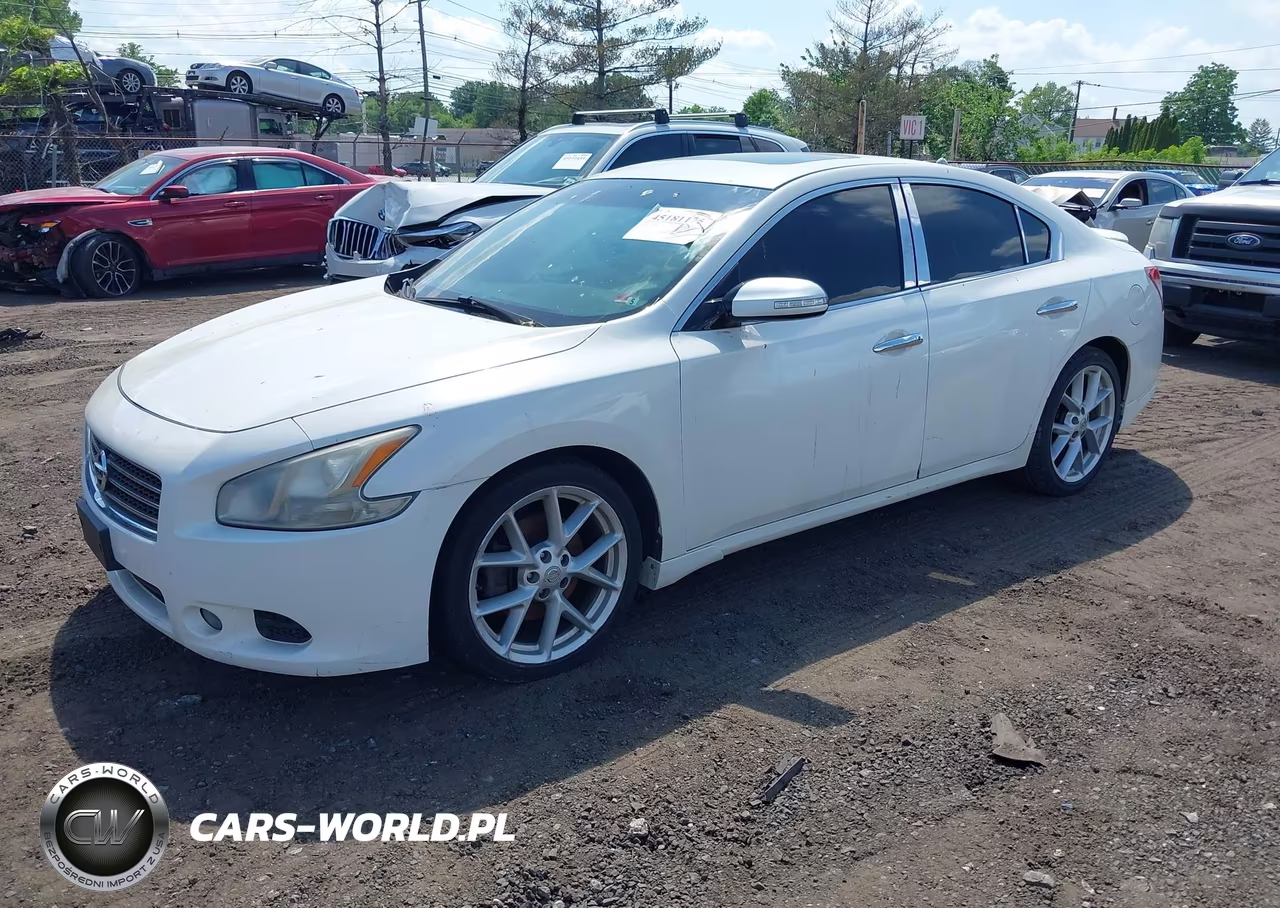 2009 Nissan Maxima 3.5 Sv VIN:1N4AA51E09C850768 - 2