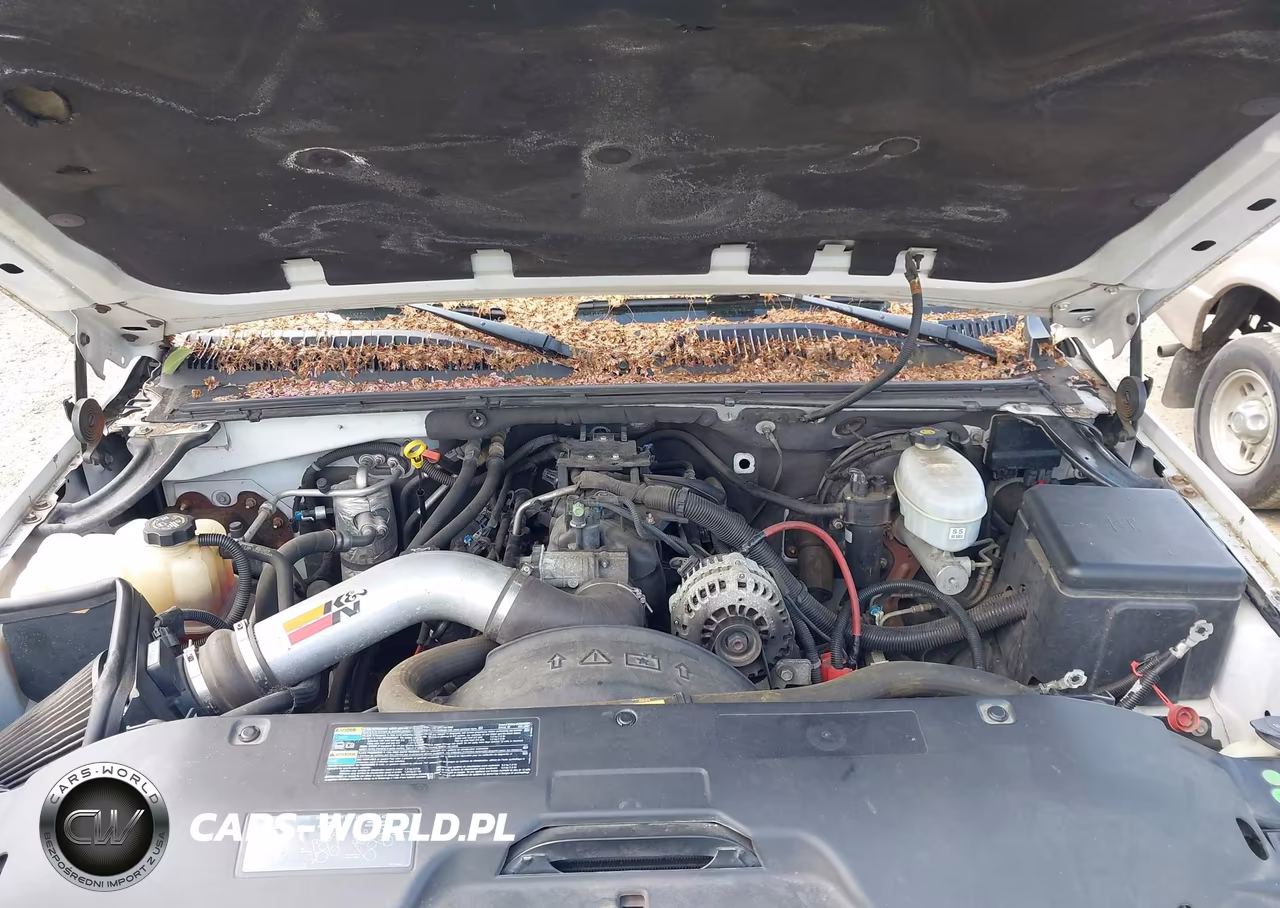 2003 Chevrolet Tahoe Lt VIN:1GNEK13Z43J317916 - 10
