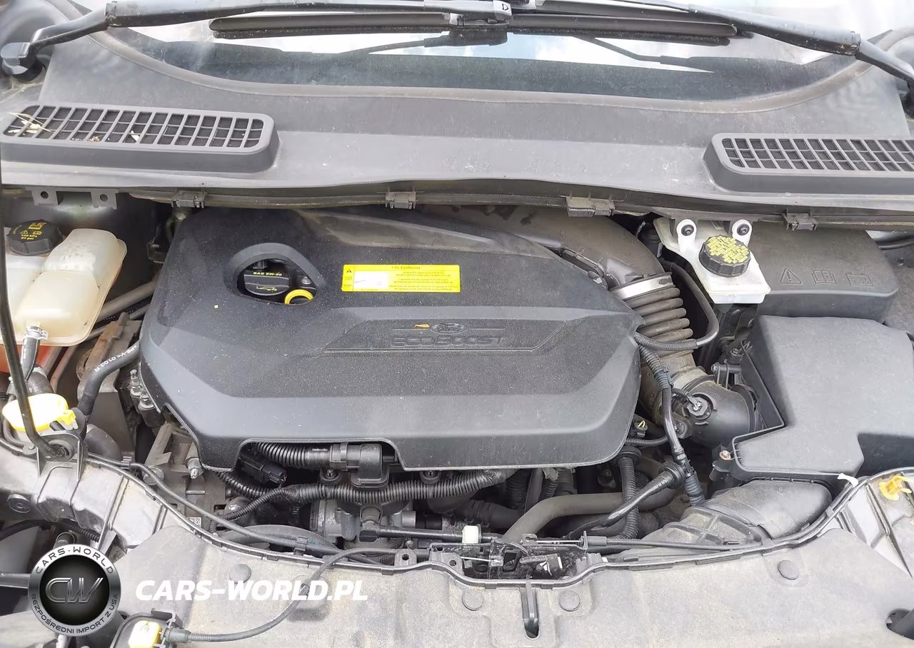 2016 Ford Escape Se VIN:1FMCU0GX6GUC34713 - 10