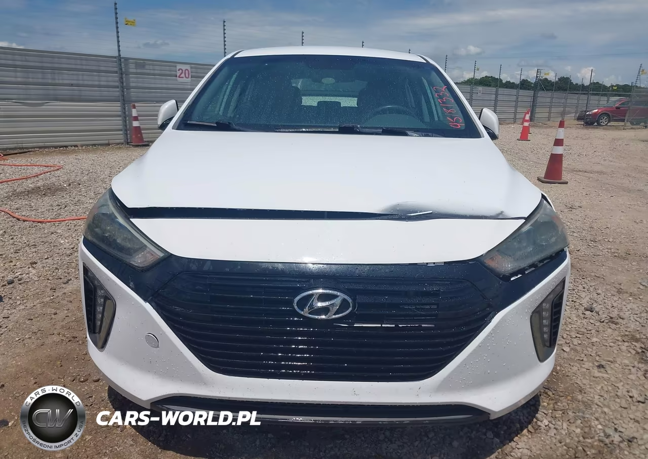 2018 Hyundai Ioniq Hybrid Sel VIN:KMHC75LC4JU060266 - 12