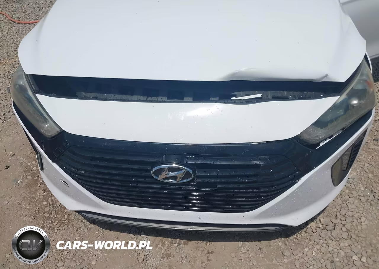 2018 Hyundai Ioniq Hybrid Sel VIN:KMHC75LC4JU060266 - 6