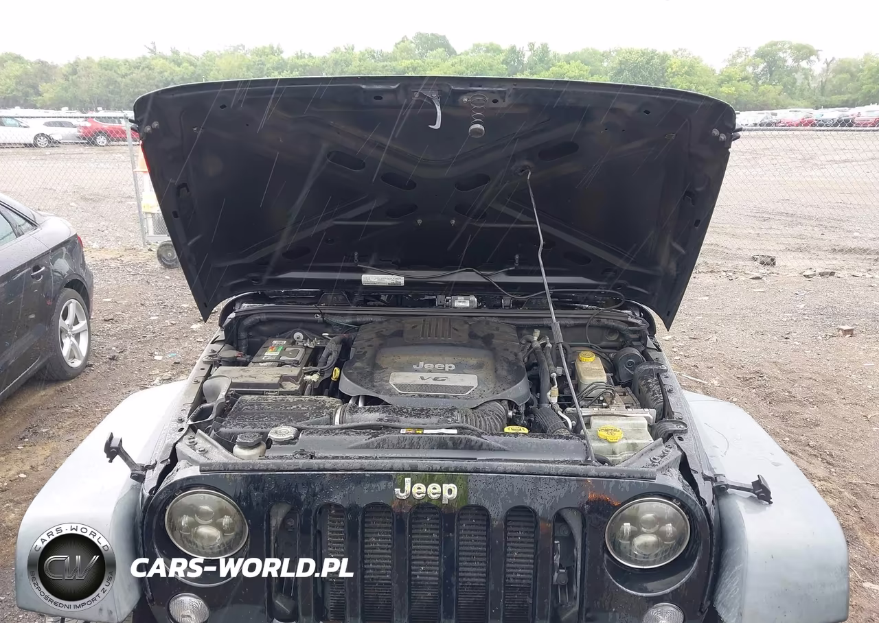 2016 Jeep Wrangler Unlimited Sport VIN:1C4BJWDG3GL286936 - 10