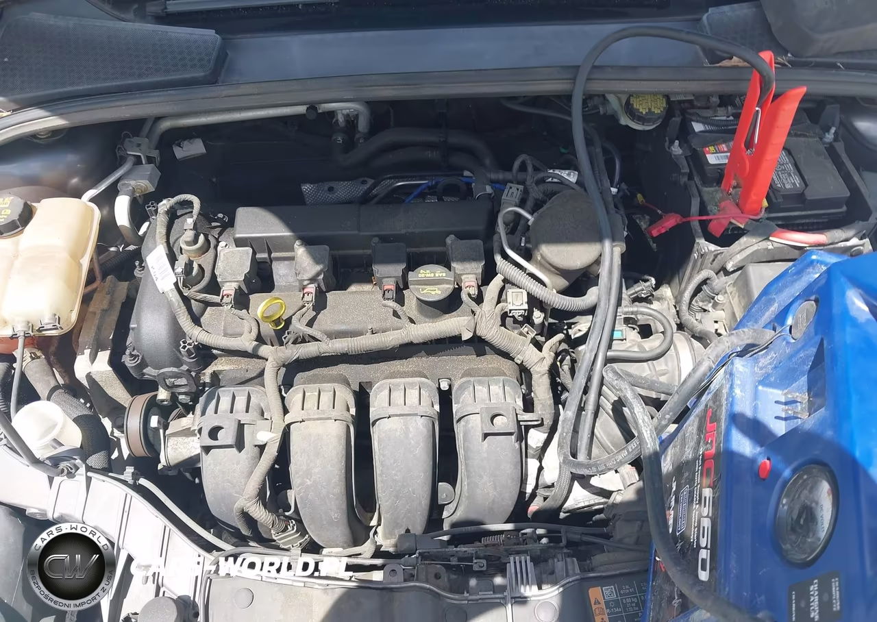 2014 Ford Focus Se VIN:1FADP3F24EL304323 - 10