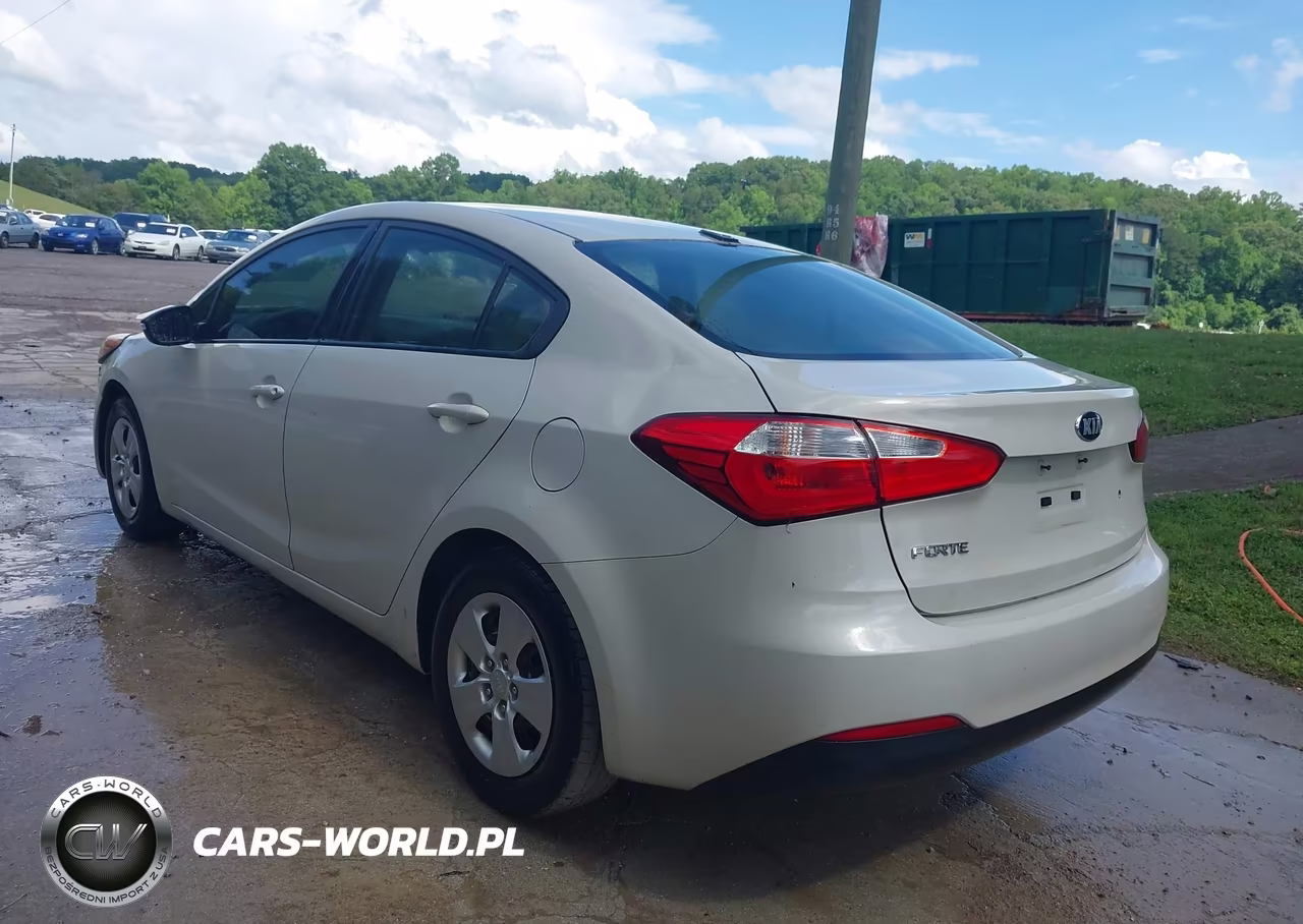 2015 Kia Forte Lx VIN:KNAFK4A62F5422987 - 3