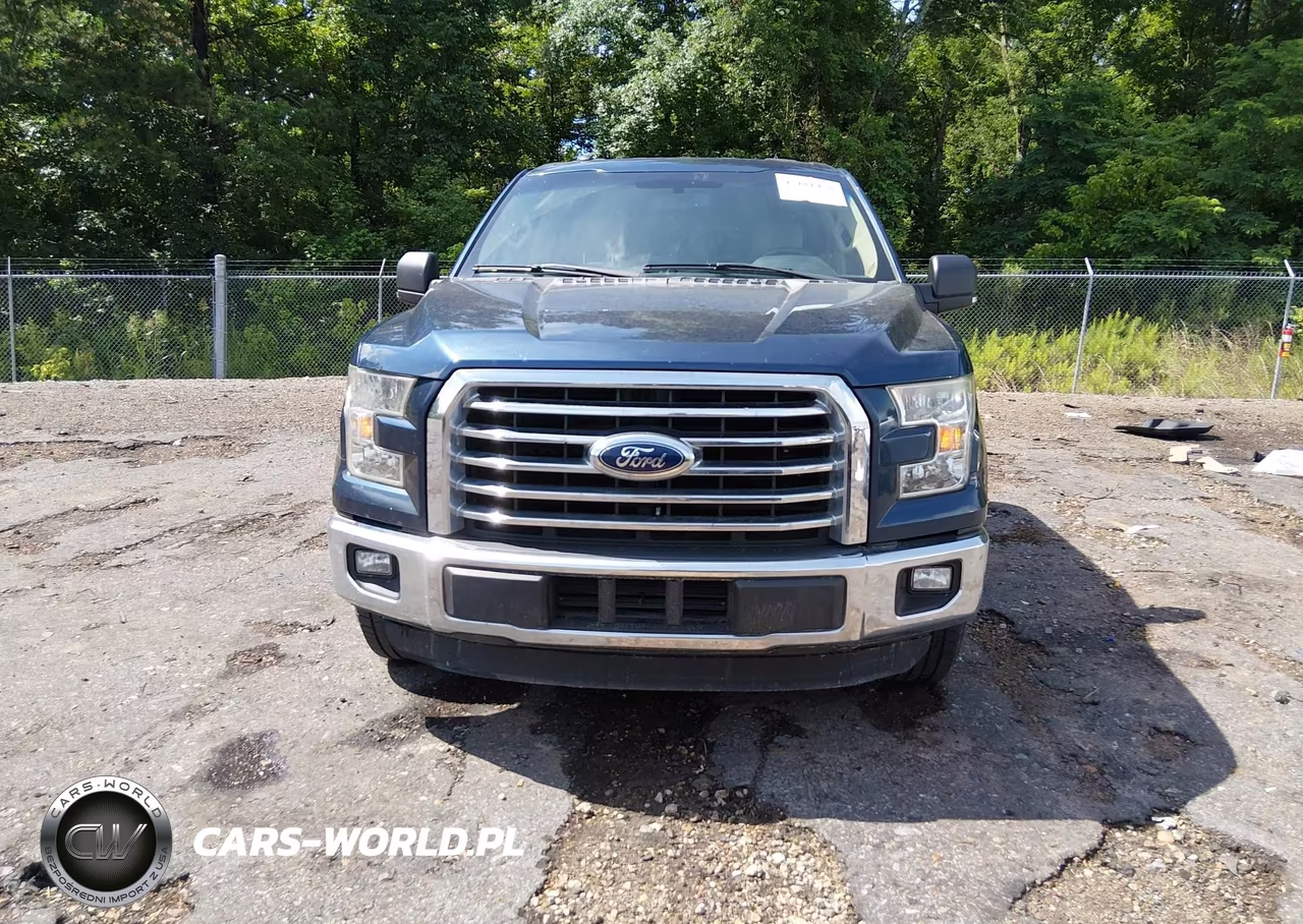 2016 Ford F-150 Xlt VIN:1FTEW1CP5GFC79858 - 13