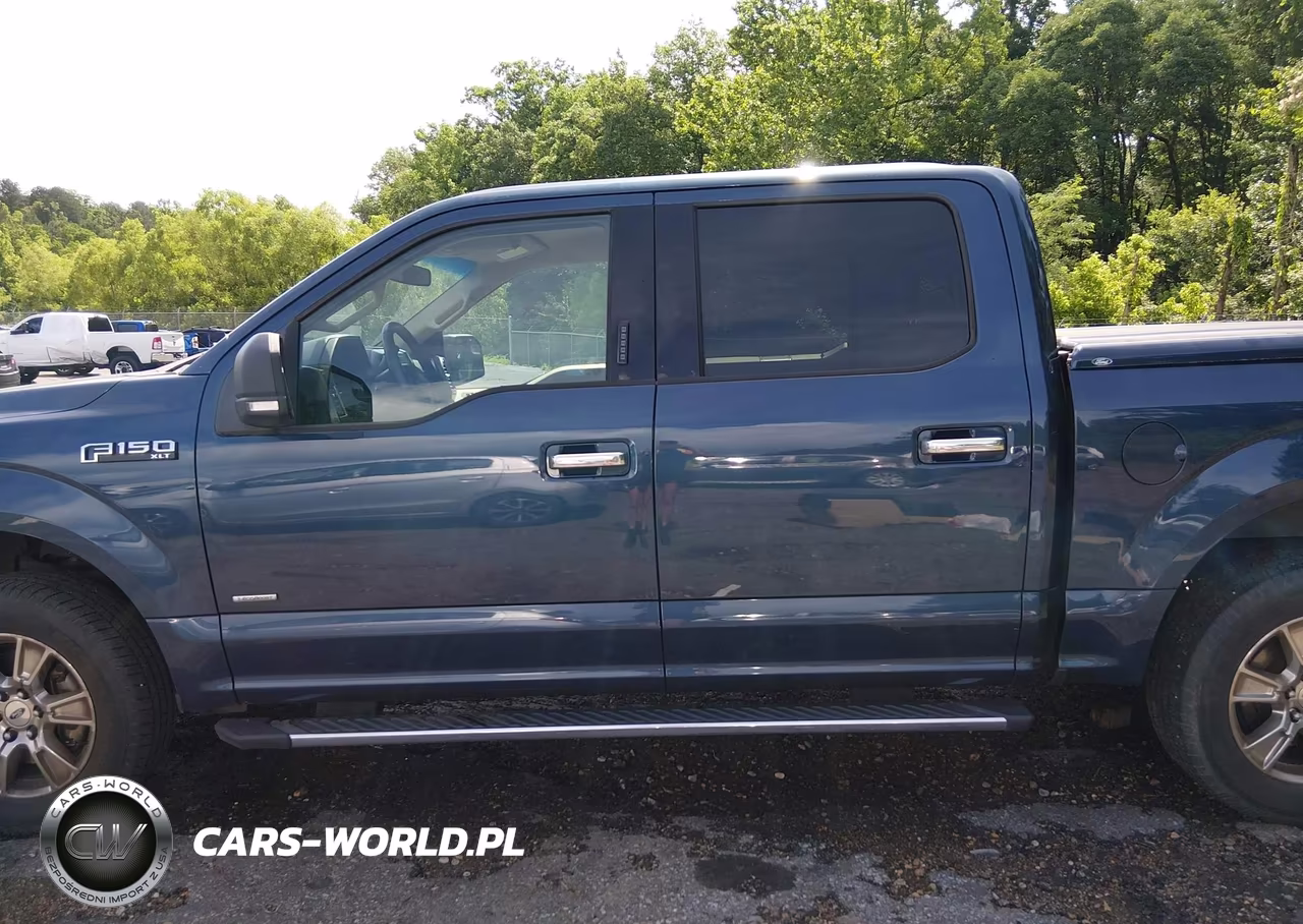 2016 Ford F-150 Xlt VIN:1FTEW1CP5GFC79858 - 15