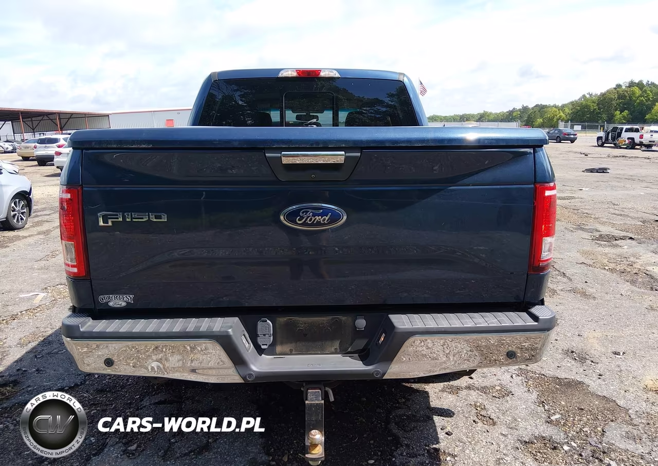 2016 Ford F-150 Xlt VIN:1FTEW1CP5GFC79858 - 17
