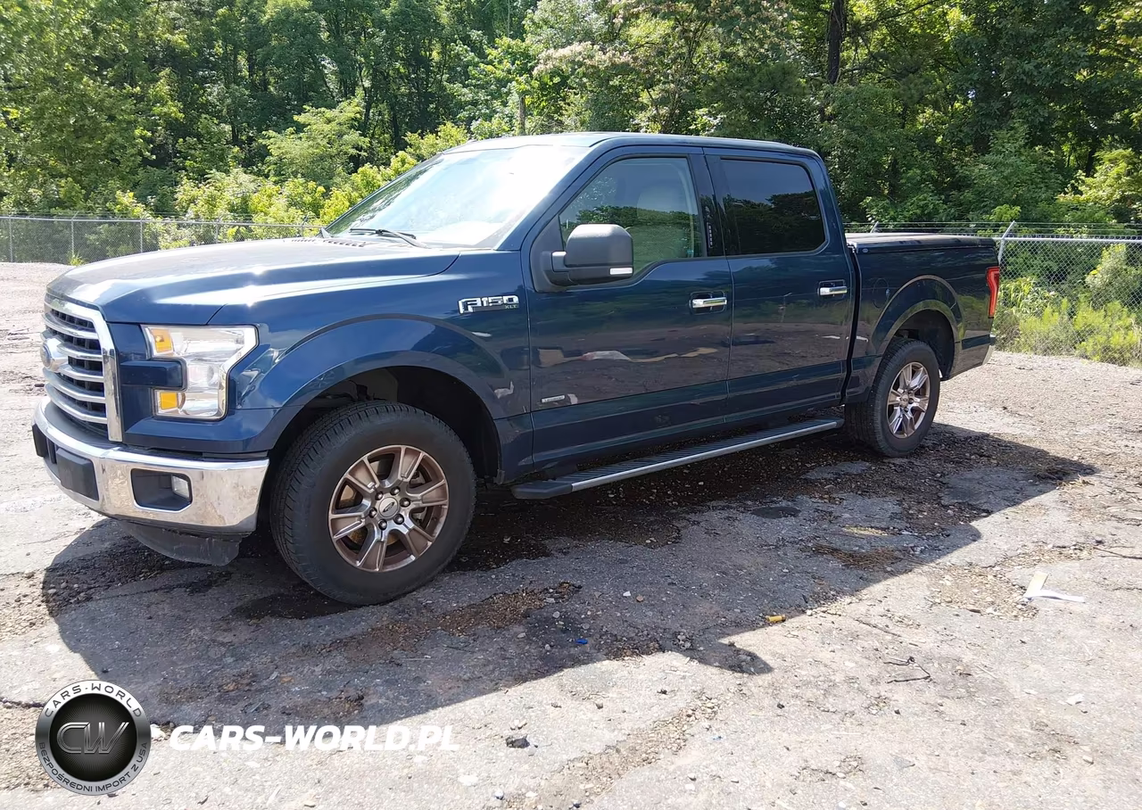 2016 Ford F-150 Xlt VIN:1FTEW1CP5GFC79858 - 2