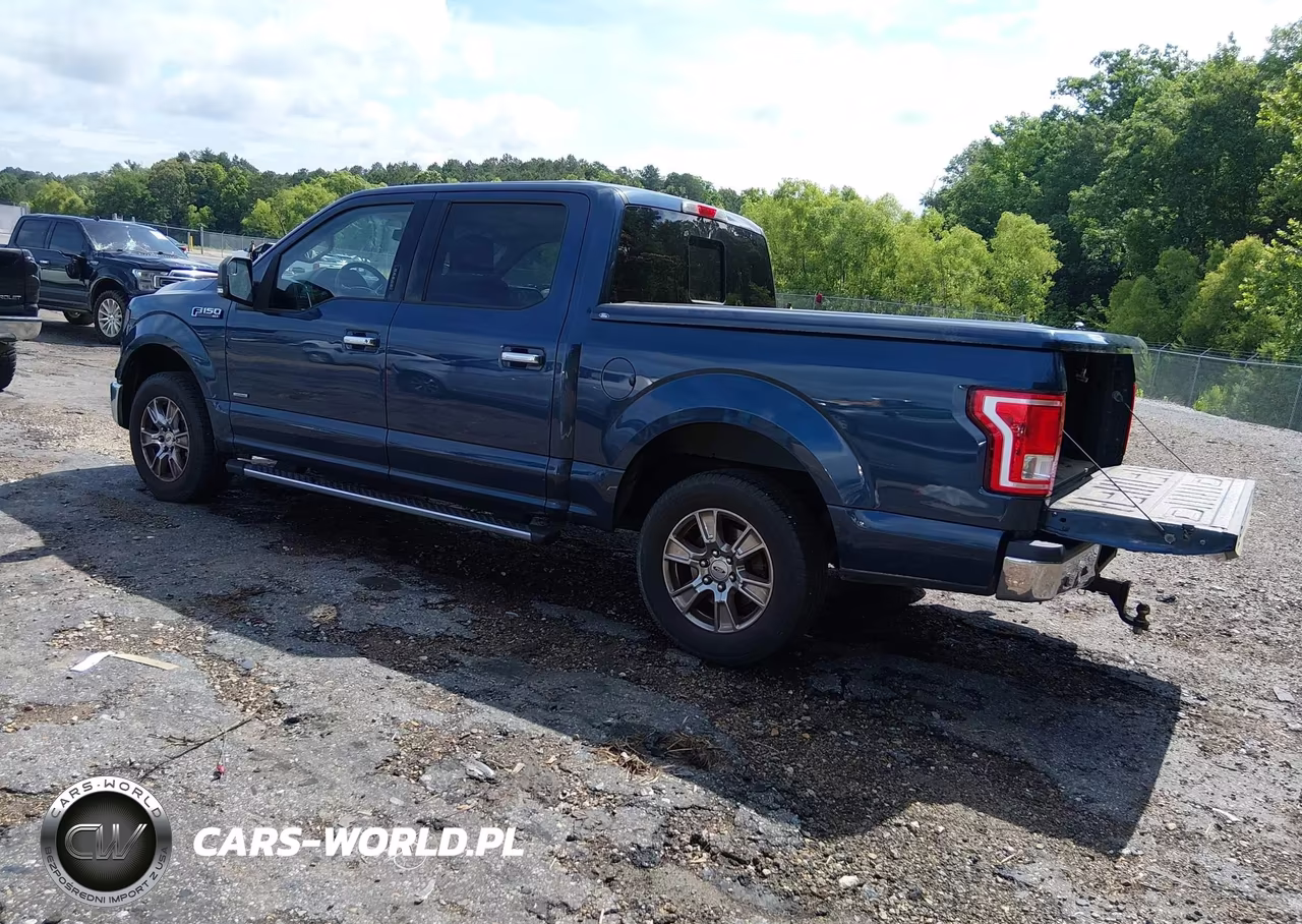 2016 Ford F-150 Xlt VIN:1FTEW1CP5GFC79858 - 3