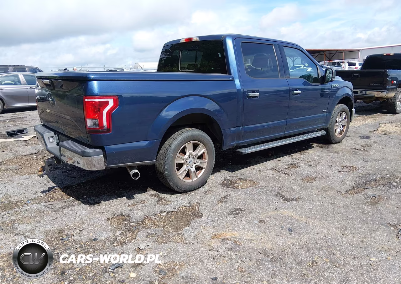 2016 Ford F-150 Xlt VIN:1FTEW1CP5GFC79858 - 4