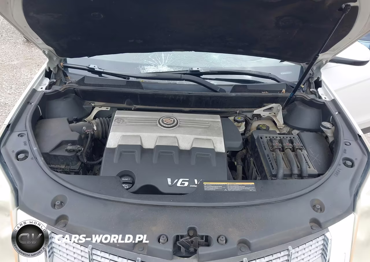 2010 Cadillac Srx Performance Collection VIN:3GYFNBEY7AS611444 - 10