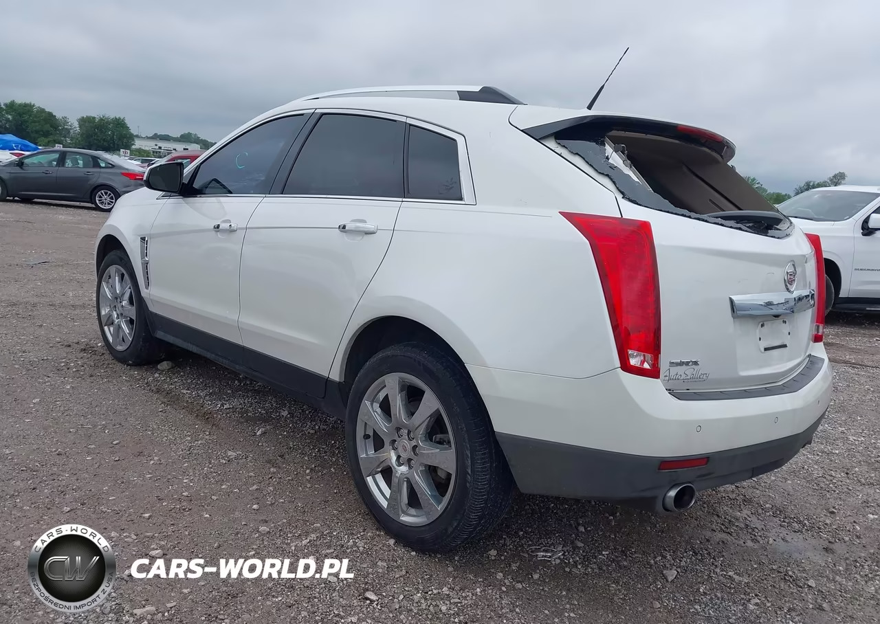 2010 Cadillac Srx Performance Collection VIN:3GYFNBEY7AS611444 - 3