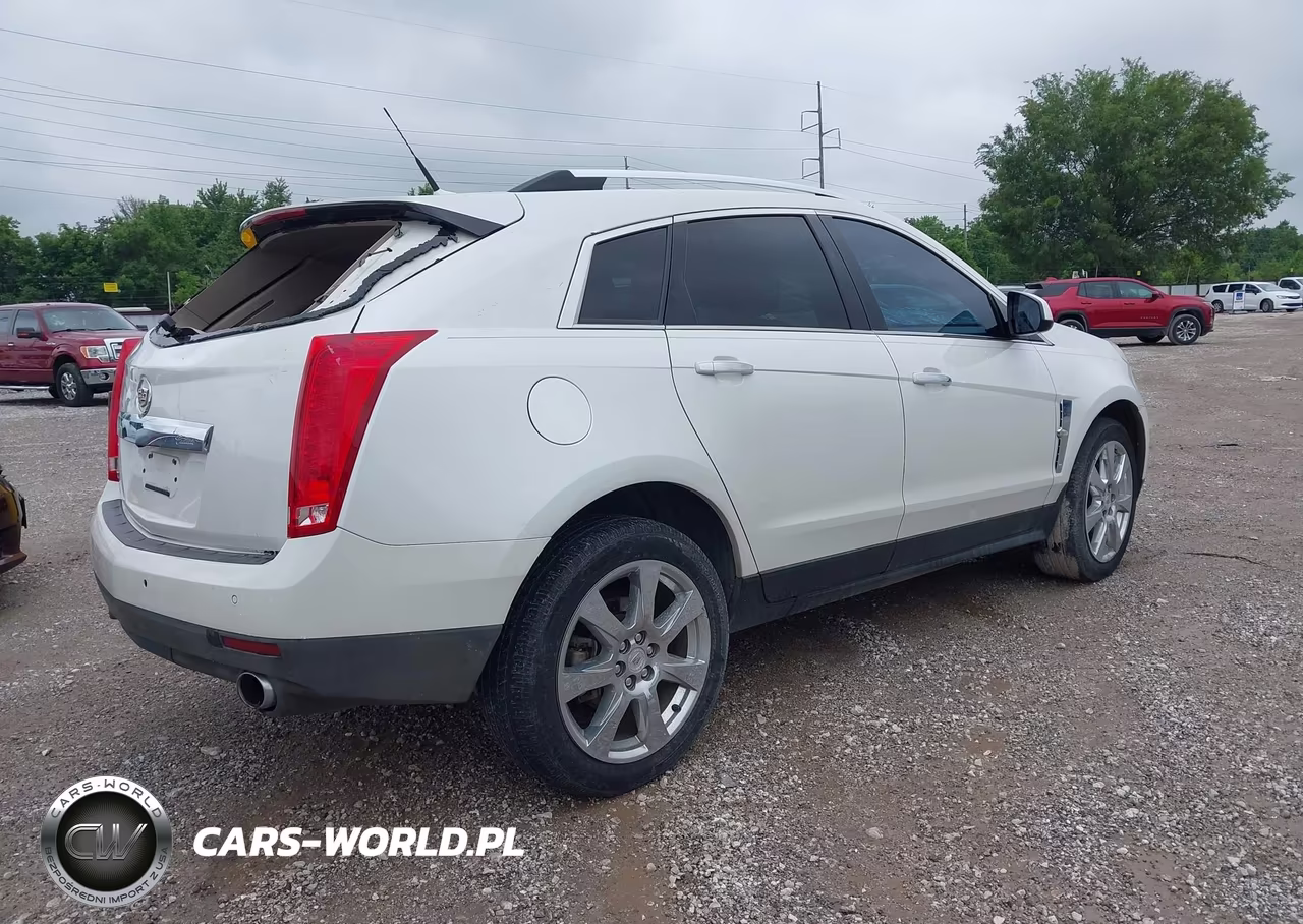 2010 Cadillac Srx Performance Collection VIN:3GYFNBEY7AS611444 - 4