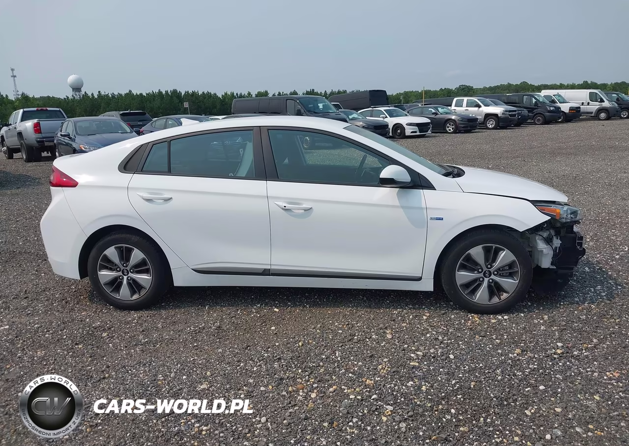2019 Hyundai Ioniq Plug-In Hybrid VIN:KMHC65LD6KU156364 - 17