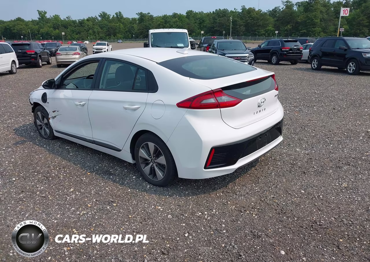 2019 Hyundai Ioniq Plug-In Hybrid VIN:KMHC65LD6KU156364 - 3