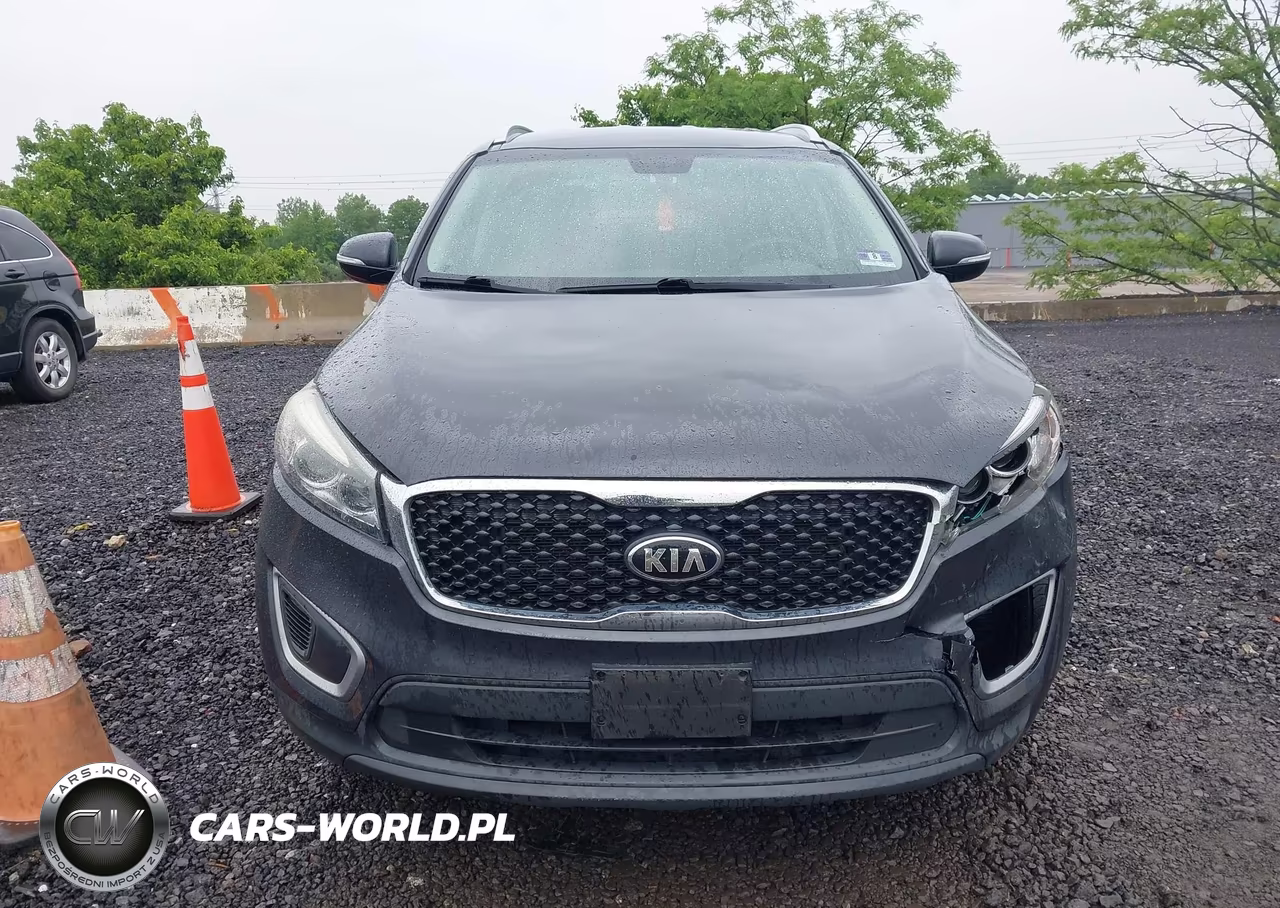 2017 Kia Sorento 2.4L Lx VIN:5XYPGDA33HG293991 - 12