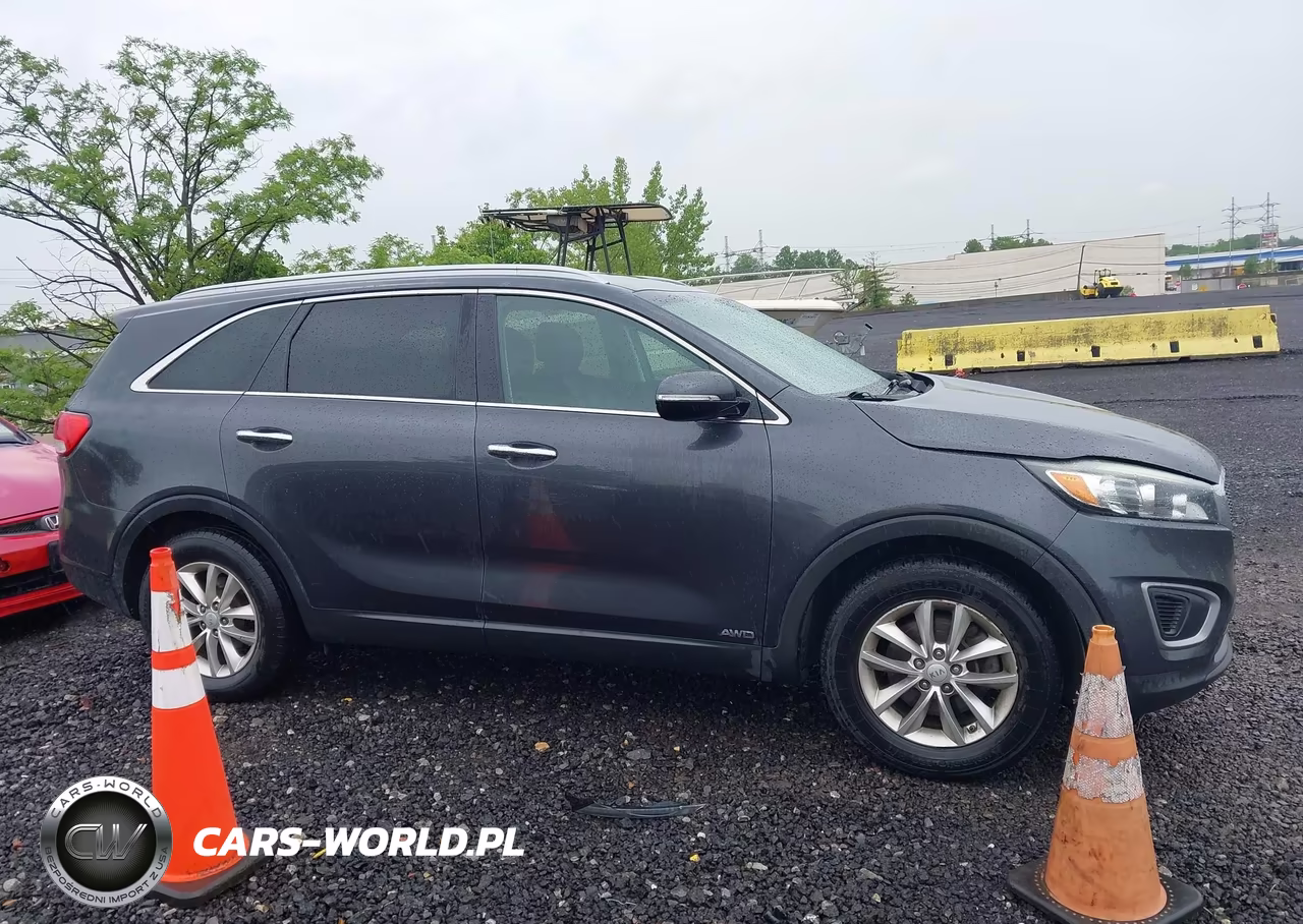 2017 Kia Sorento 2.4L Lx VIN:5XYPGDA33HG293991 - 13