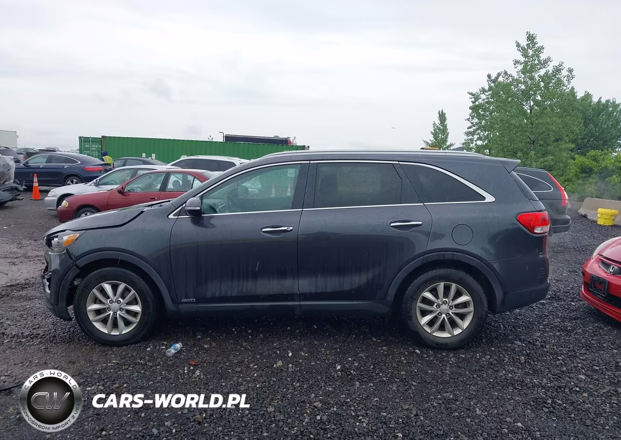 2017 Kia Sorento 2.4L Lx VIN:5XYPGDA33HG293991 - 14