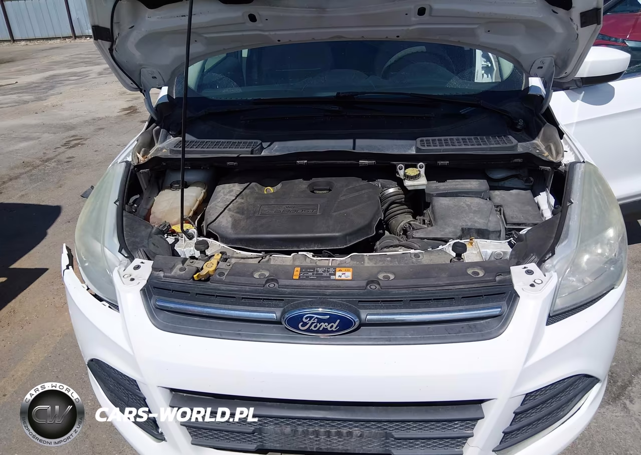 2014 Ford Escape Se VIN:1FMCU9G93EUA15260 - 10