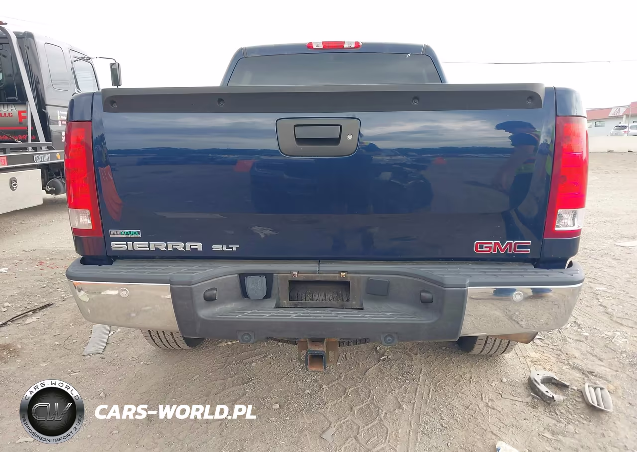 2010 GMC Sierra 1500 Slt VIN:3GTRCWE09AG188119 - 16