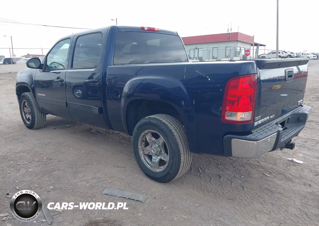 2010 GMC Sierra 1500 Slt VIN:3GTRCWE09AG188119 - 3