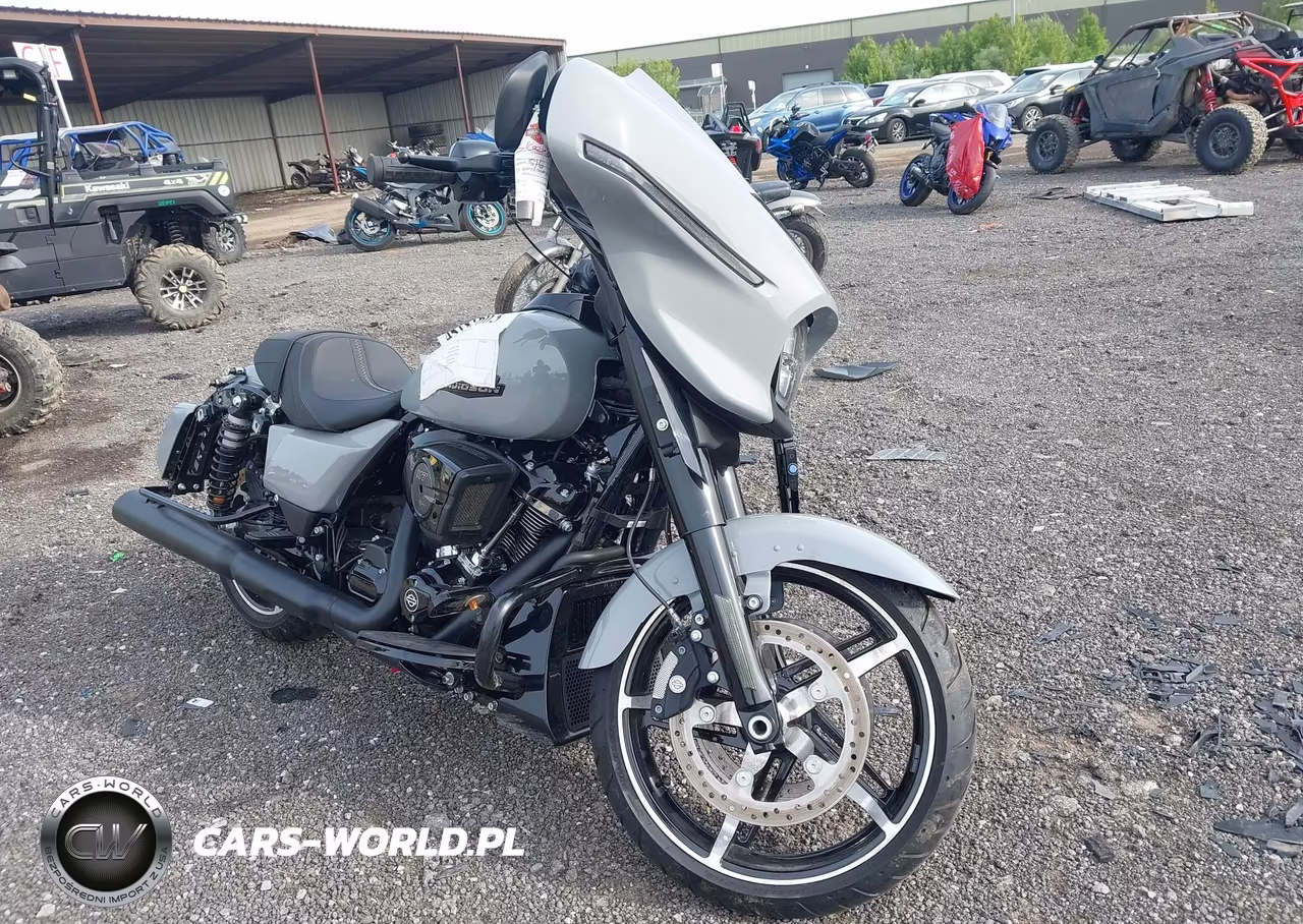 2025 Harley-Davidson Flhx