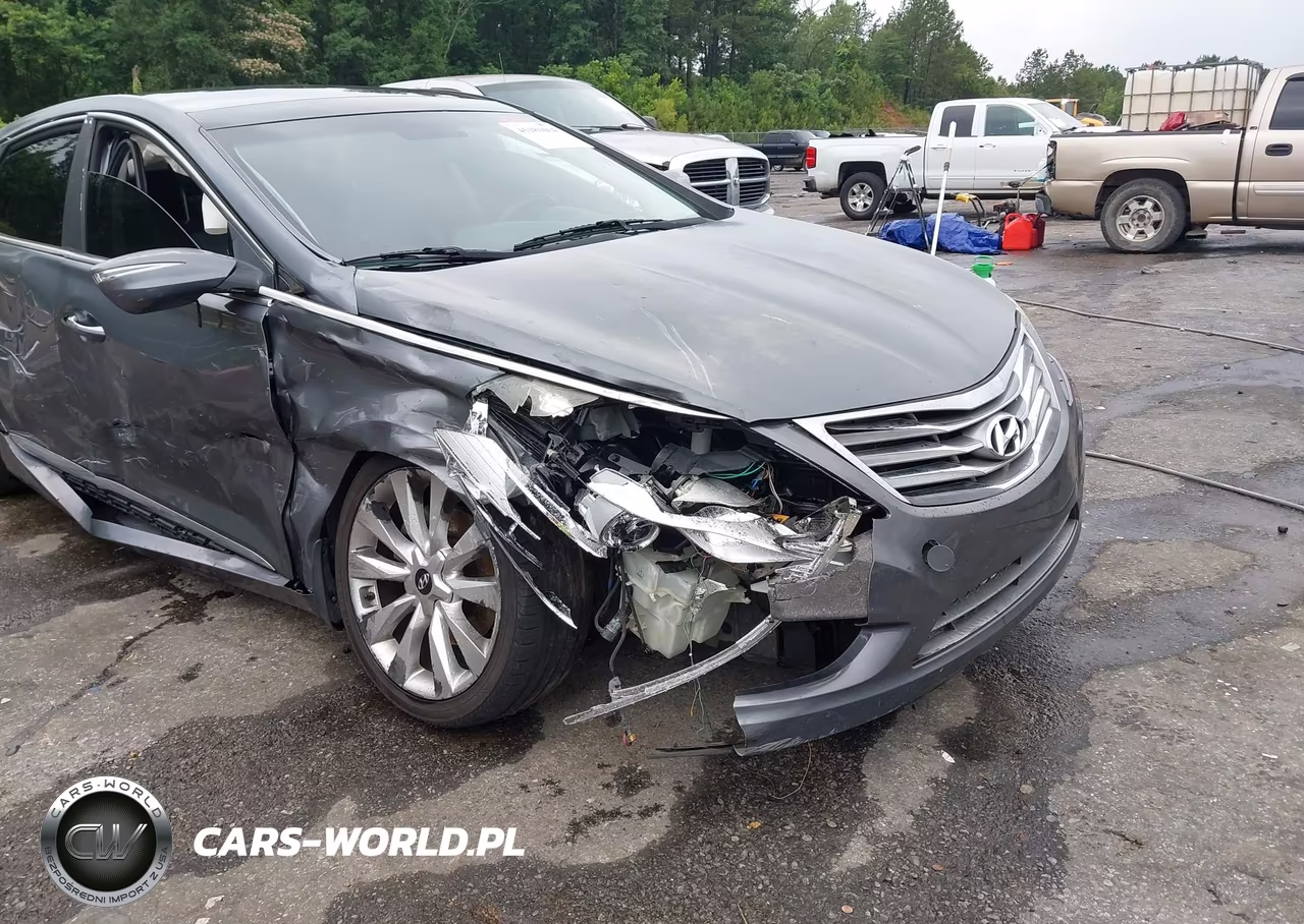 2013 Hyundai Azera VIN:KMHFH4JG2DA315867 - 17