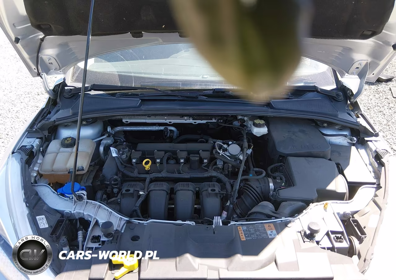 2018 Ford Focus Se VIN:1FADP3K28JL254025 - 10