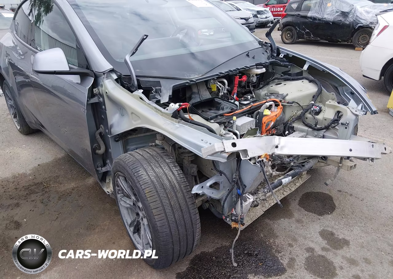 2025 Tesla Model Y Long Range Dual Motor All-Wheel Drive VIN:7SAYGDEE5SF248374 - 11
