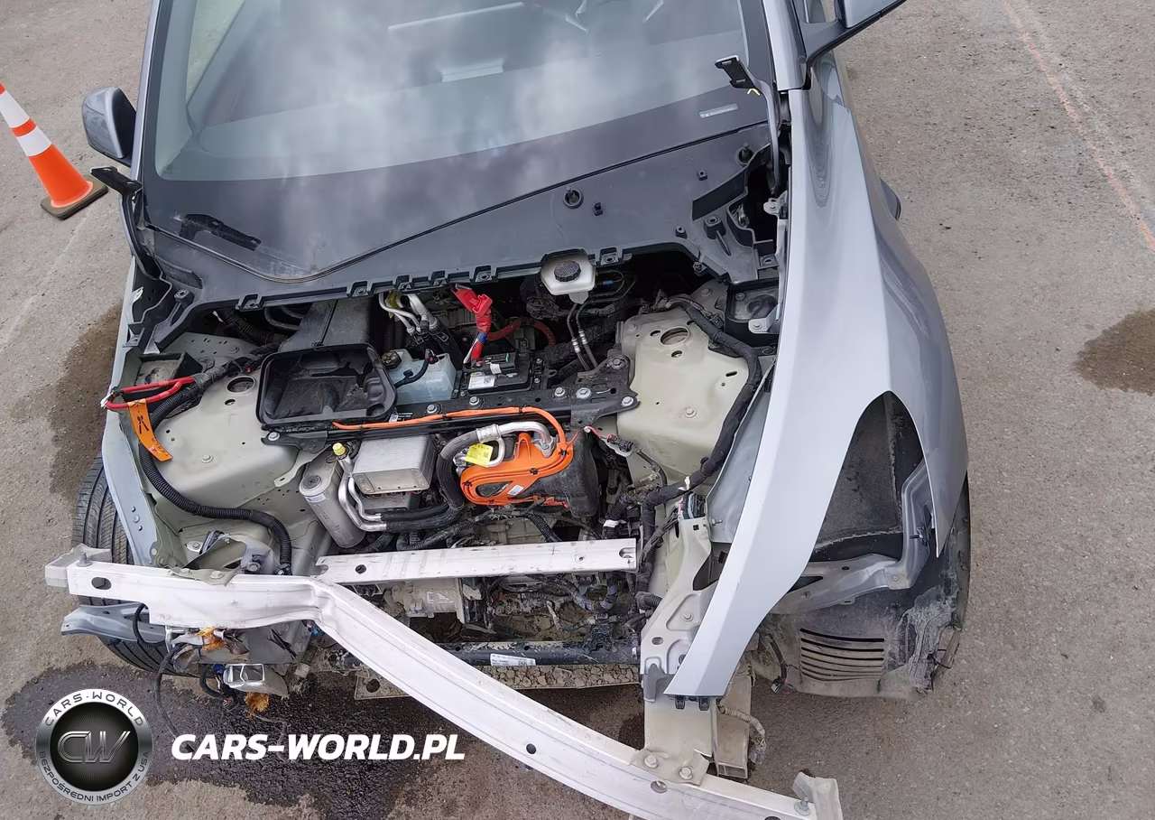 2025 Tesla Model Y Long Range Dual Motor All-Wheel Drive VIN:7SAYGDEE5SF248374 - 12