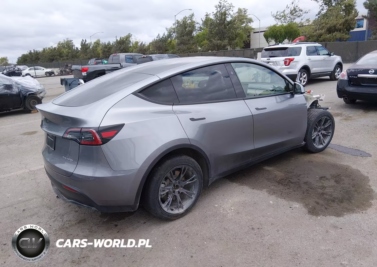 2025 Tesla Model Y Long Range Dual Motor All-Wheel Drive VIN:7SAYGDEE5SF248374 - 4