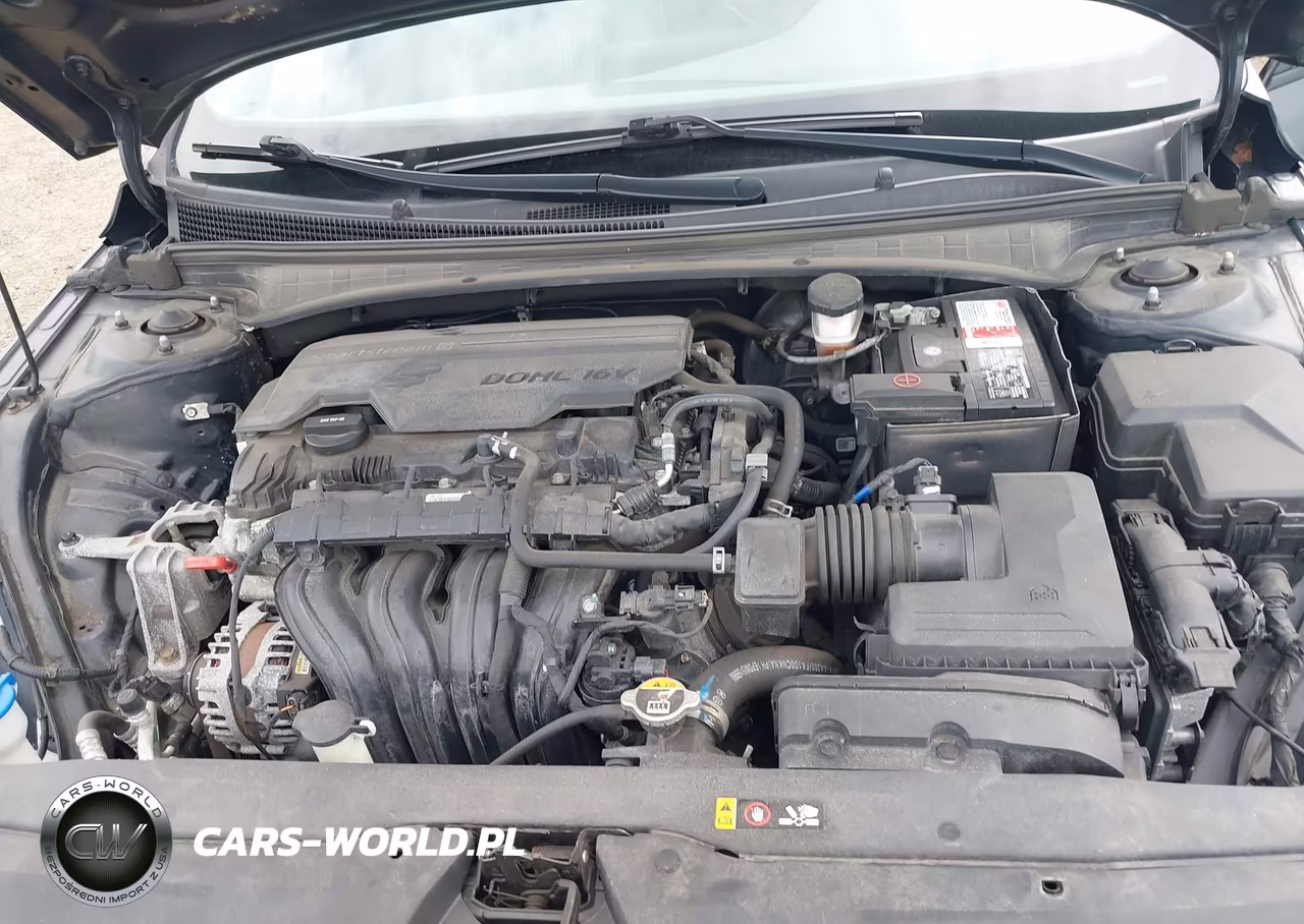 2021 Hyundai Elantra Sel VIN:5NPLM4AG2MH002426 - 10