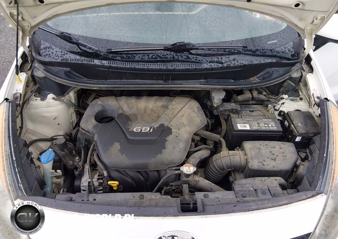 2014 Kia Rio Lx VIN:KNADM5A39E6333665 - 10