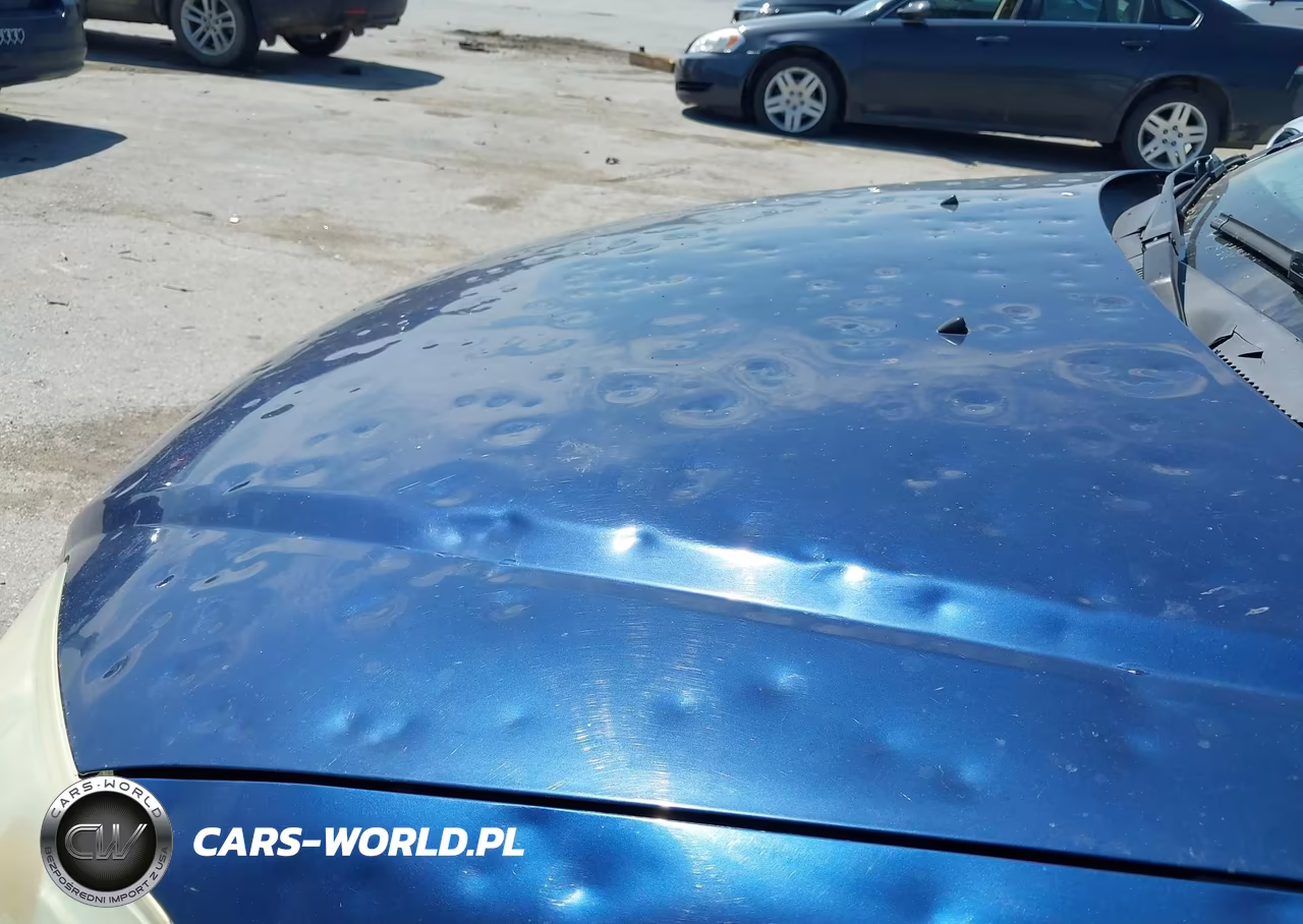 2004 Honda Civic Lx VIN:1HGES16584L019121 - 6