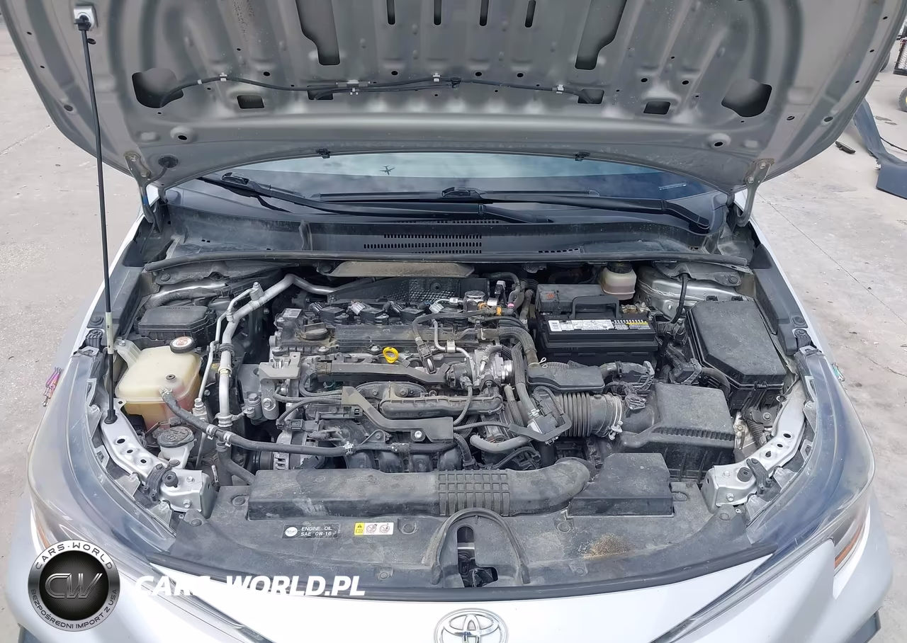 2020 Toyota Corolla Se VIN:JTDS4RCE0LJ035371 - 10