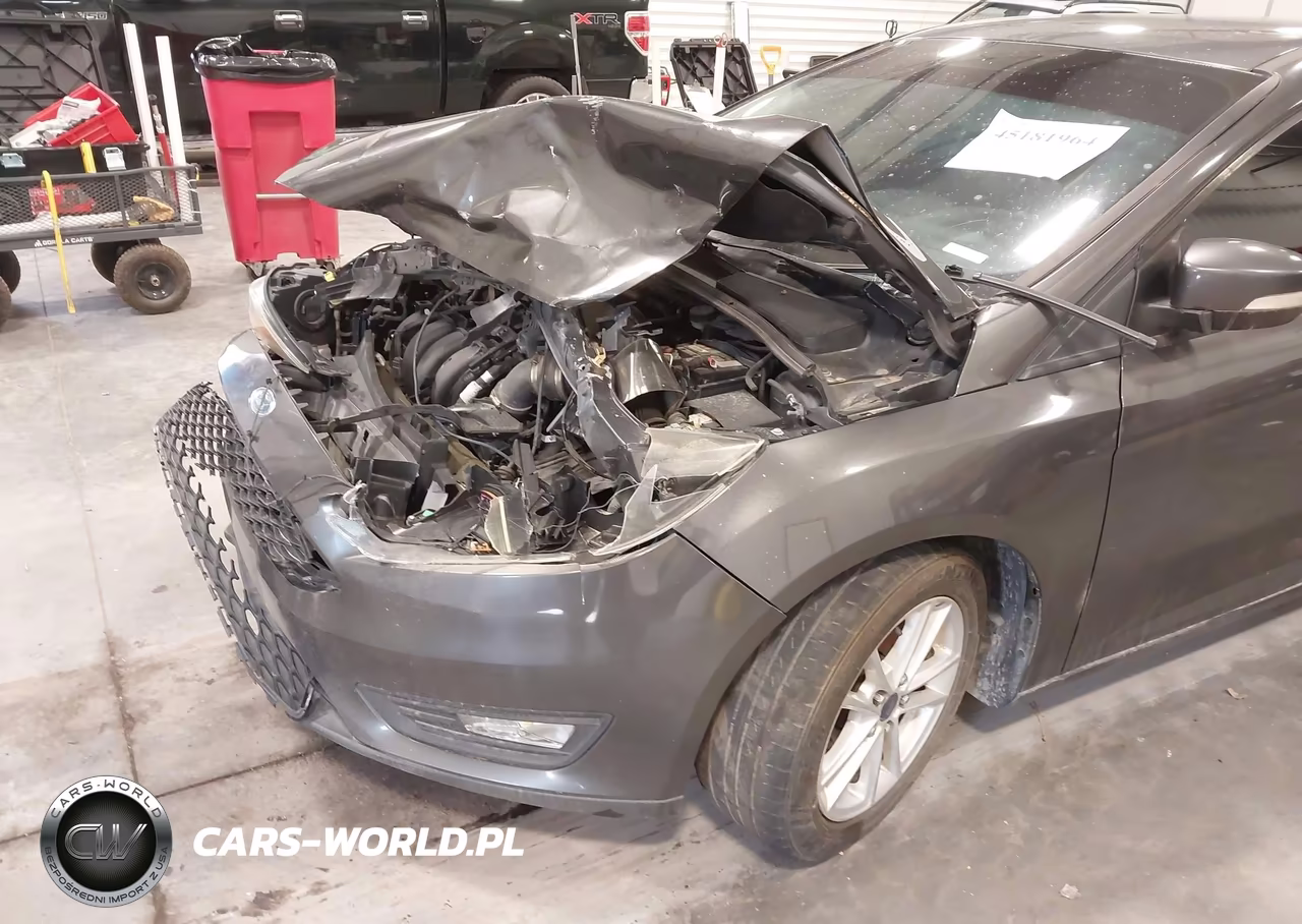 2015 Ford Focus Se VIN:1FADP3F22FL342456 - 17