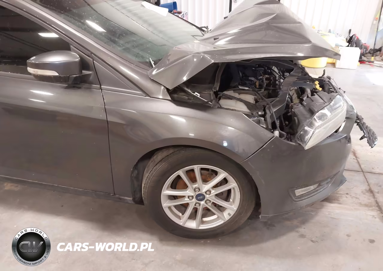 2015 Ford Focus Se VIN:1FADP3F22FL342456 - 18