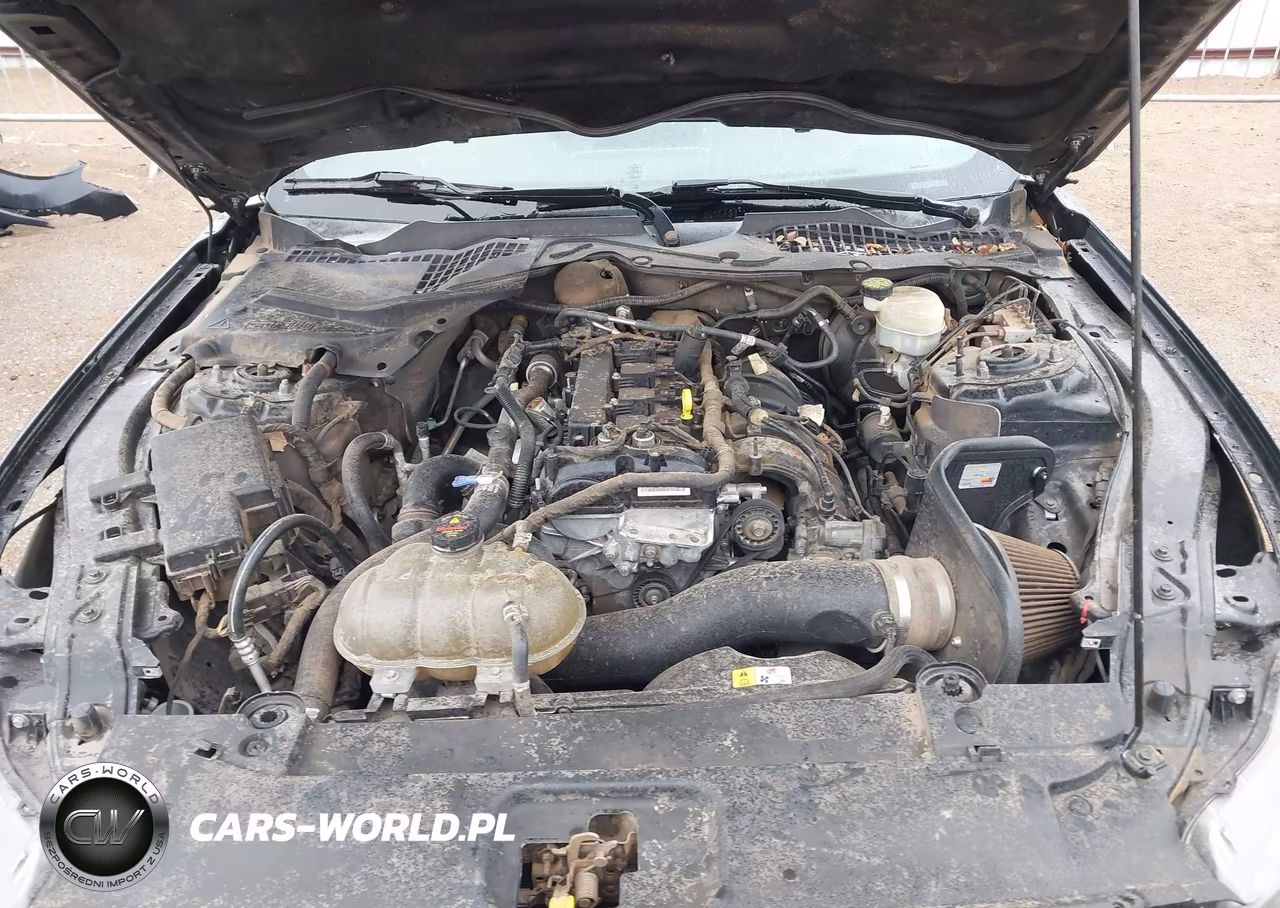 2015 Ford Mustang Ecoboost VIN:1FA6P8TH5F5403186 - 10