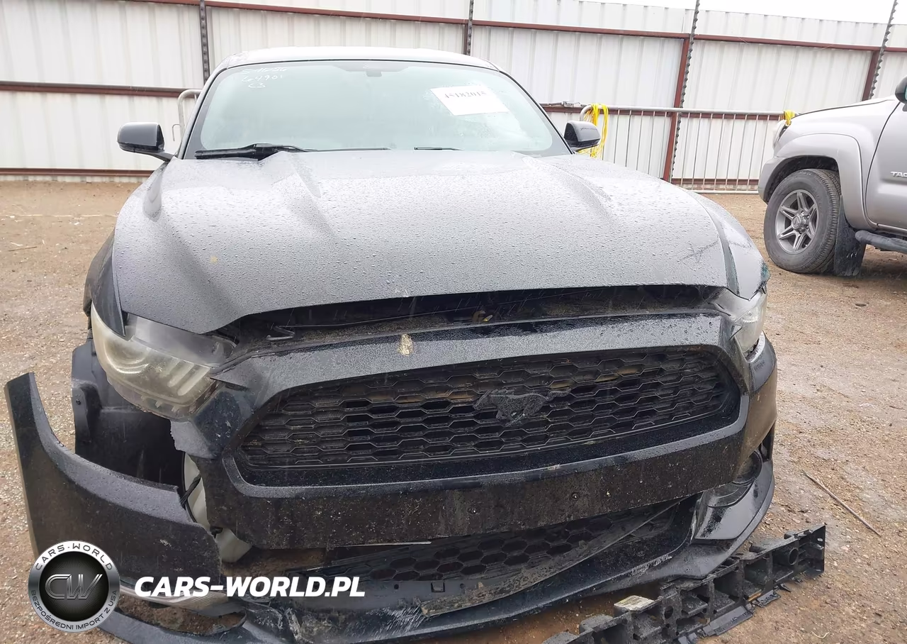 2015 Ford Mustang Ecoboost VIN:1FA6P8TH5F5403186 - 12