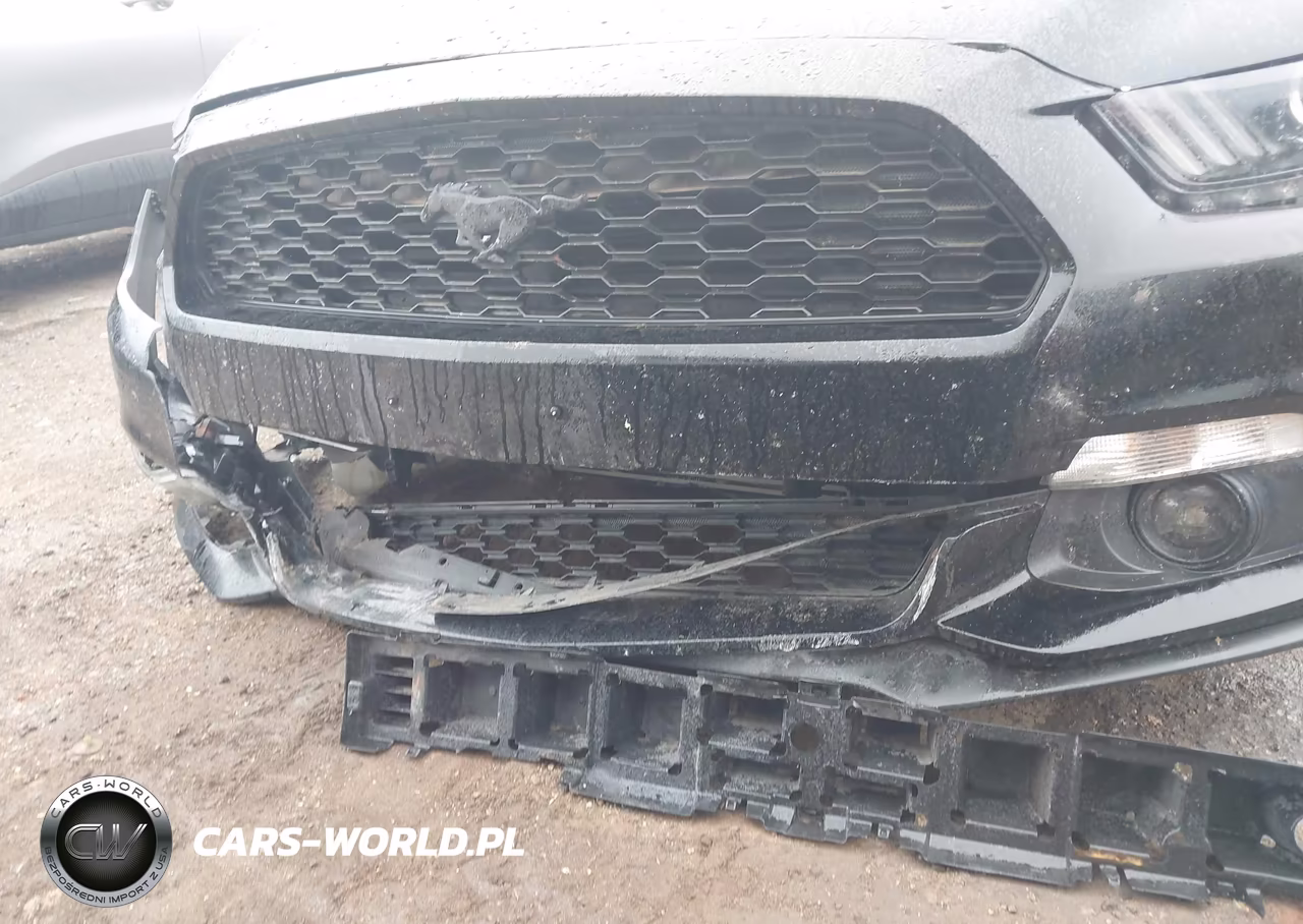 2015 Ford Mustang Ecoboost VIN:1FA6P8TH5F5403186 - 6