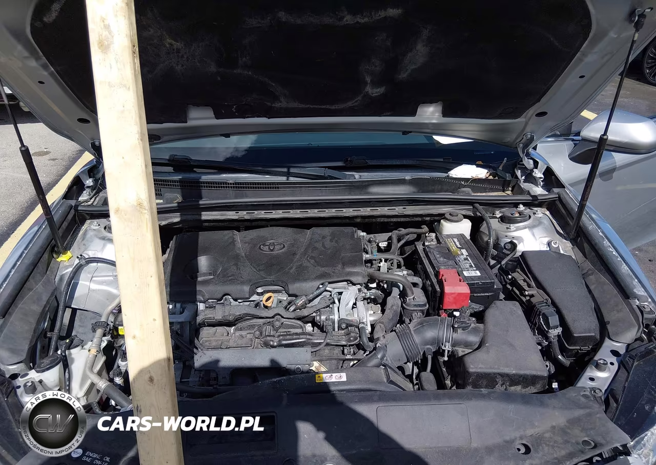 2019 Toyota Camry Se VIN:4T1B11HK8KU163181 - 10