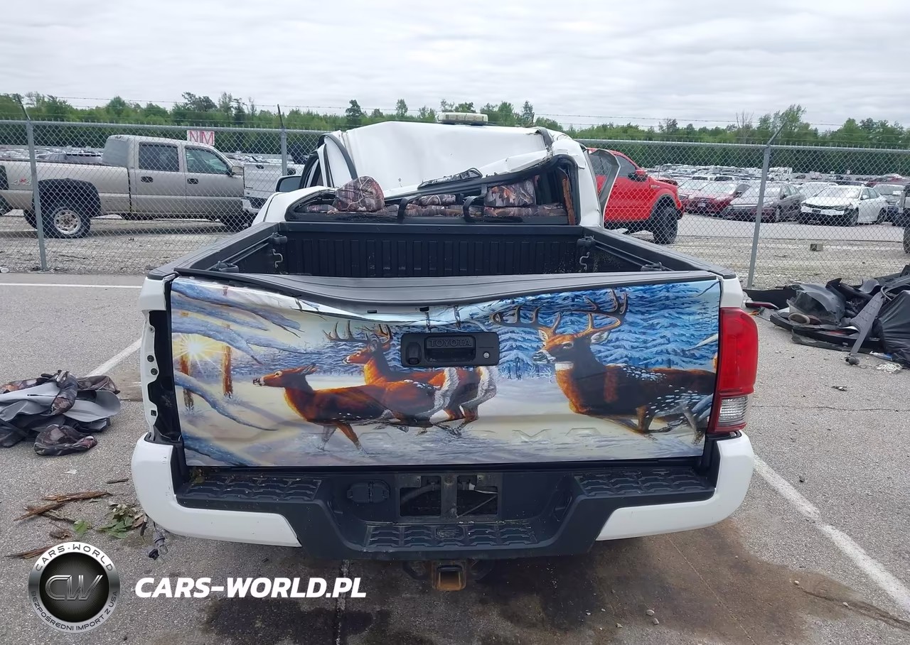 2019 Toyota Tacoma Sr V6 VIN:3TMCZ5AN4KM191674 - 16